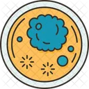 Petri Dish Laboratory Icon