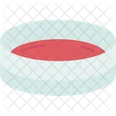 Petri Dish Sample Icon