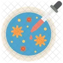 Petri  Icon