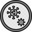 Petri Dish Bacteria Science Icon