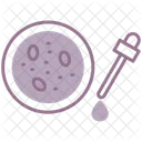 Petri Dish Petri Dish Icon