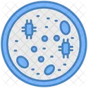 Petri Dish Petri Dish Icon