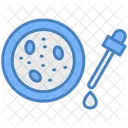 Petri Dish Petri Dish Icon