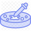 Petri Dish Laboratory Icon