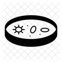 Petri Dish Bacteria Virus Icon