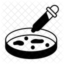 Petri Dish  Icon