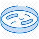 Petri Dish Bacteria Virus Icon
