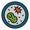 Petri Dish Bacteria Virus Icon