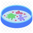 페트리 접시 거울판 현미경 접시 아이콘
