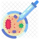 Petri Dish Bacteria Laboratory Icon