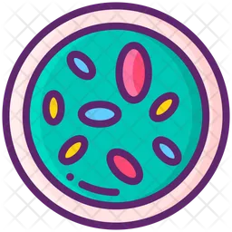 Petri Dish  Icon