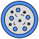 Petri Dish  Icon