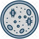 Petri Dish Petri Dish Icon