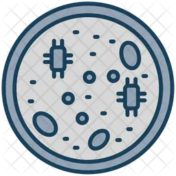 Petri Dish  Icon