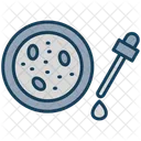 Petri Dish Petri Dish Icon