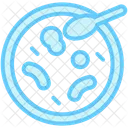 Petri dish  Icon