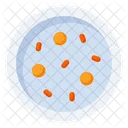 Petri Dish Microorganism Microbiology Icon