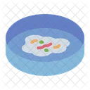 Petridish Petri Dish Plate Icon