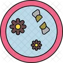 Petrischale  Symbol