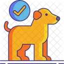 Pets Allowed  Icon