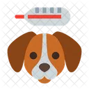 Pets Medical Examination Icon