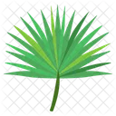 Pettocoat Palm  Icon