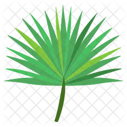 Pettocoat Palm  Icon