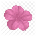 Petunia Icon