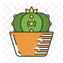 Peyote Cactus In Pot  Icon