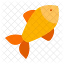 Pez Naranja Icono Icono