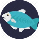 Agua Dulce Peces Mascotas Icono