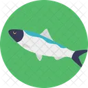 Agua Dulce Peces Mascotas Icono