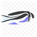 Pez Angel Bellus Criatura Marina Animal Icono