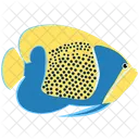 Pez Angel Azul Criatura Marina Animal Icono