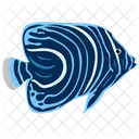 Pez Angel Juvenil Criatura Marina Animal Icono