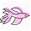 Pez Betta Pez Betta Mascota Icono