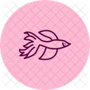 Pez Betta Pez Betta Mascota Icono