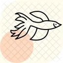 Pez Betta Pez Betta Mascota Icono