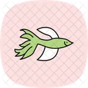 Pez Betta Pez Betta Mascota Icono