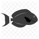 Pez Cirujano Negro Criatura Marina Animal Icono