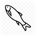 Pez cuerno  Icon