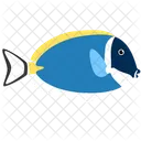 Pez Tang Azul Claro Criatura Marina Animal Icono