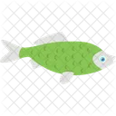 Pescado Simbolo De Pesca Pez De Forma Redonda Icono