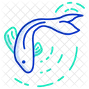 Pez Koi Icono