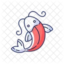 Pez koi  Icono