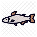Panga Pescado Bagre Icono