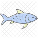Pez Platy Pez Platy Mascota Icono