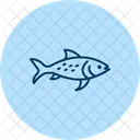 Pez Platy Pez Platy Mascota Icono