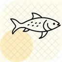 Pez Platy Pez Platy Mascota Icono