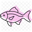 Pez Tetra Neon Pez Neontetra Mascota Icono